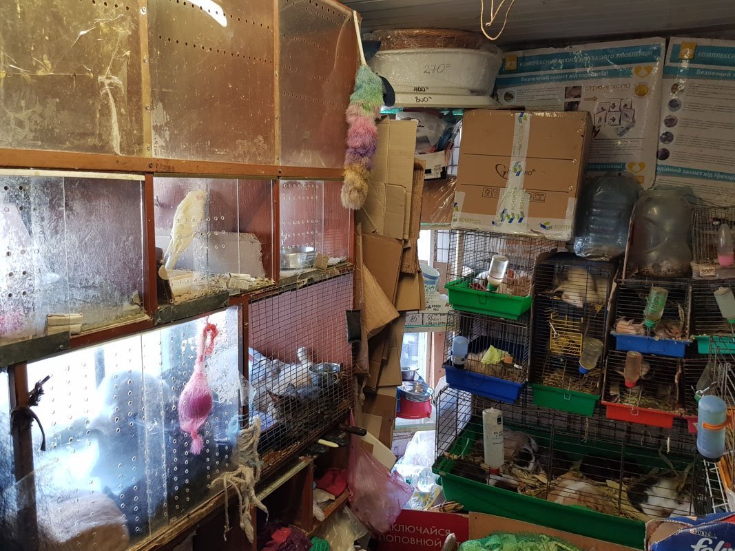 Ну хоть дырочки для воздуха есть Ну хоть дырочки для воздуха есть