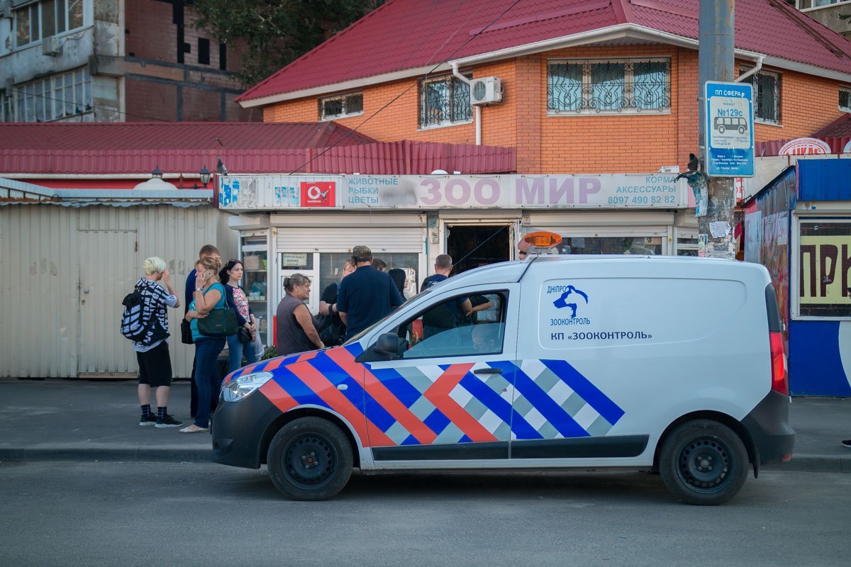 Животных так и не удалось конфисковать Животных так и не удалось конфисковать