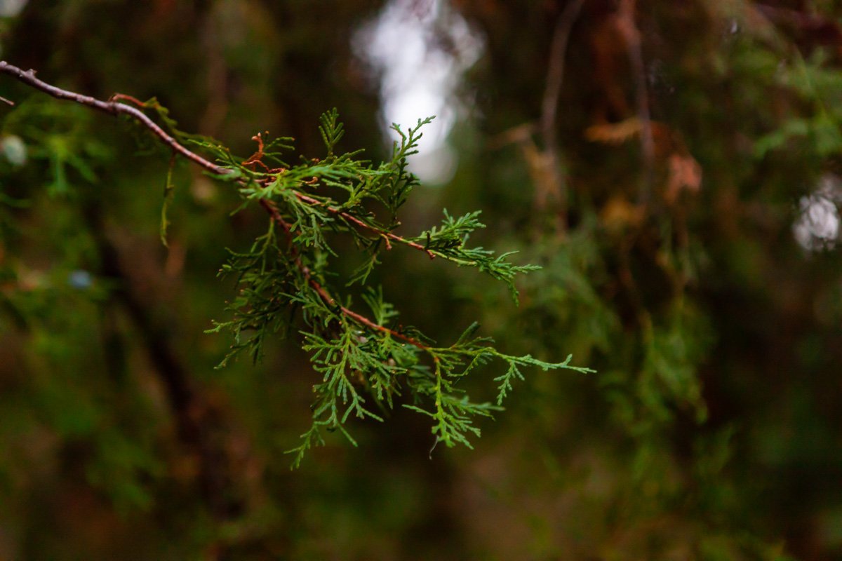 В этом парке нет ощущения, что ты - в центре мегаполиса В этом парке нет ощущения, что ты - в центре мегаполиса