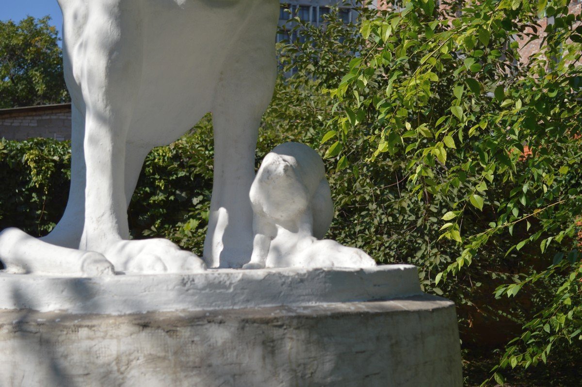 Безбашенный кенгуреныш Безбашенный кенгуреныш