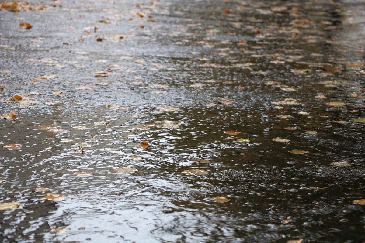 Выходите на улицу