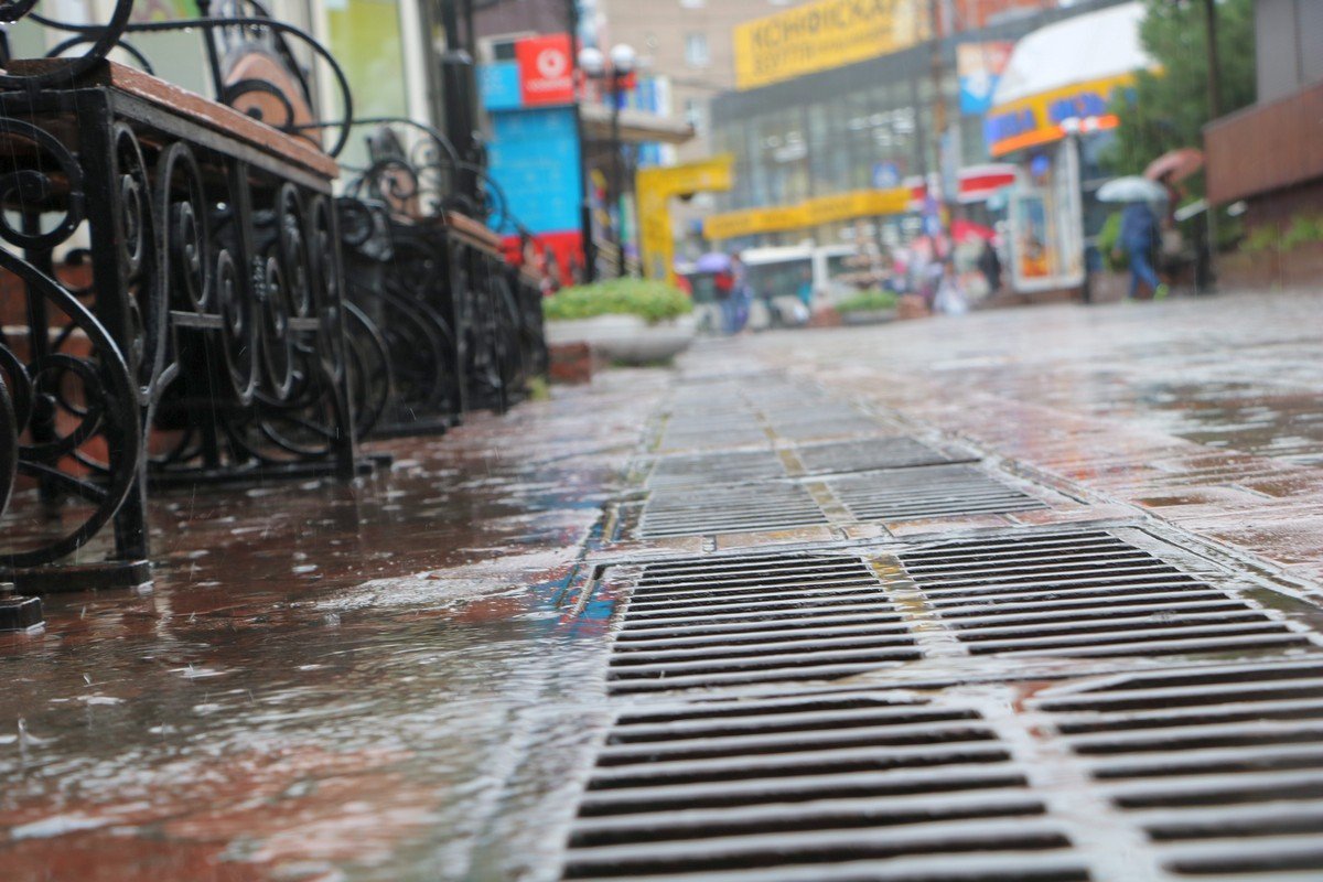 Первая свежесть