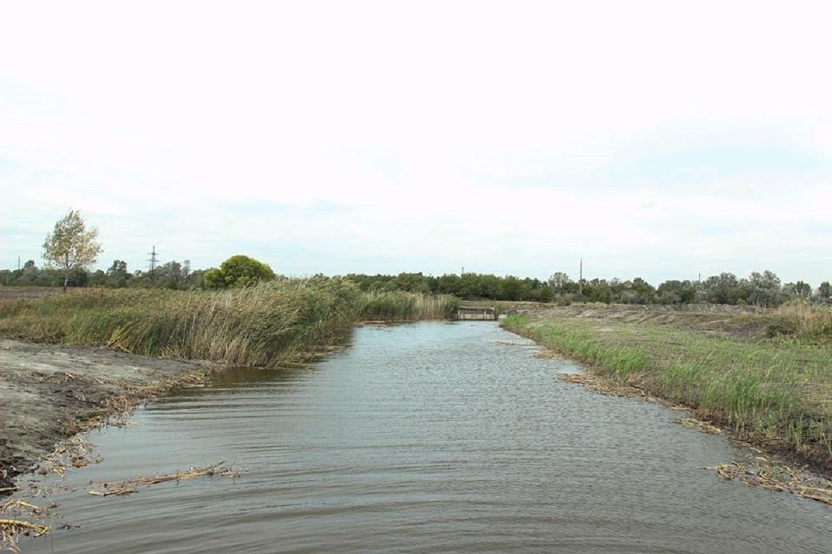 По словам местных жителей, появилась рыба, вернулась дичь По словам местных жителей, появилась рыба, вернулась дичь