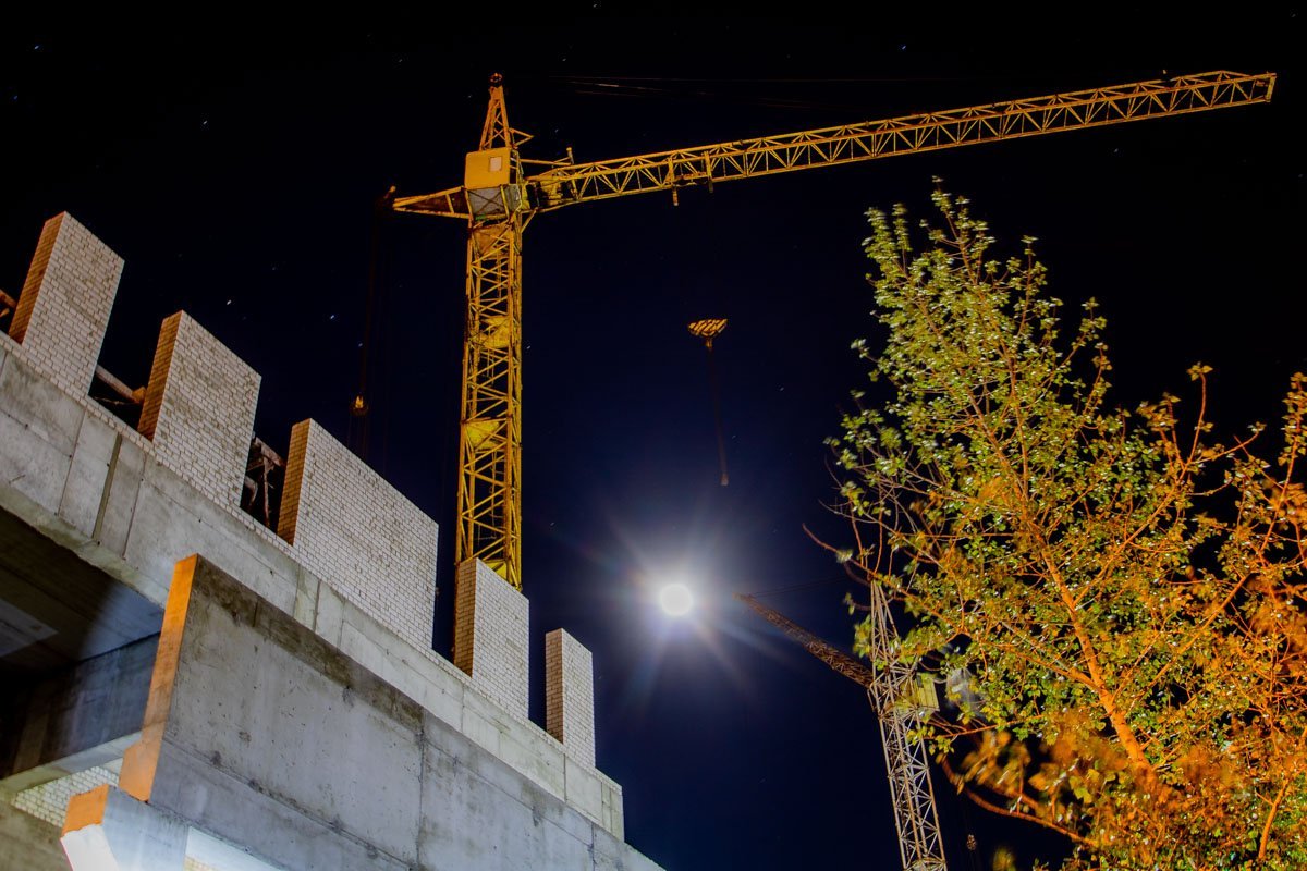 Под покровом ночи меняется не только природа