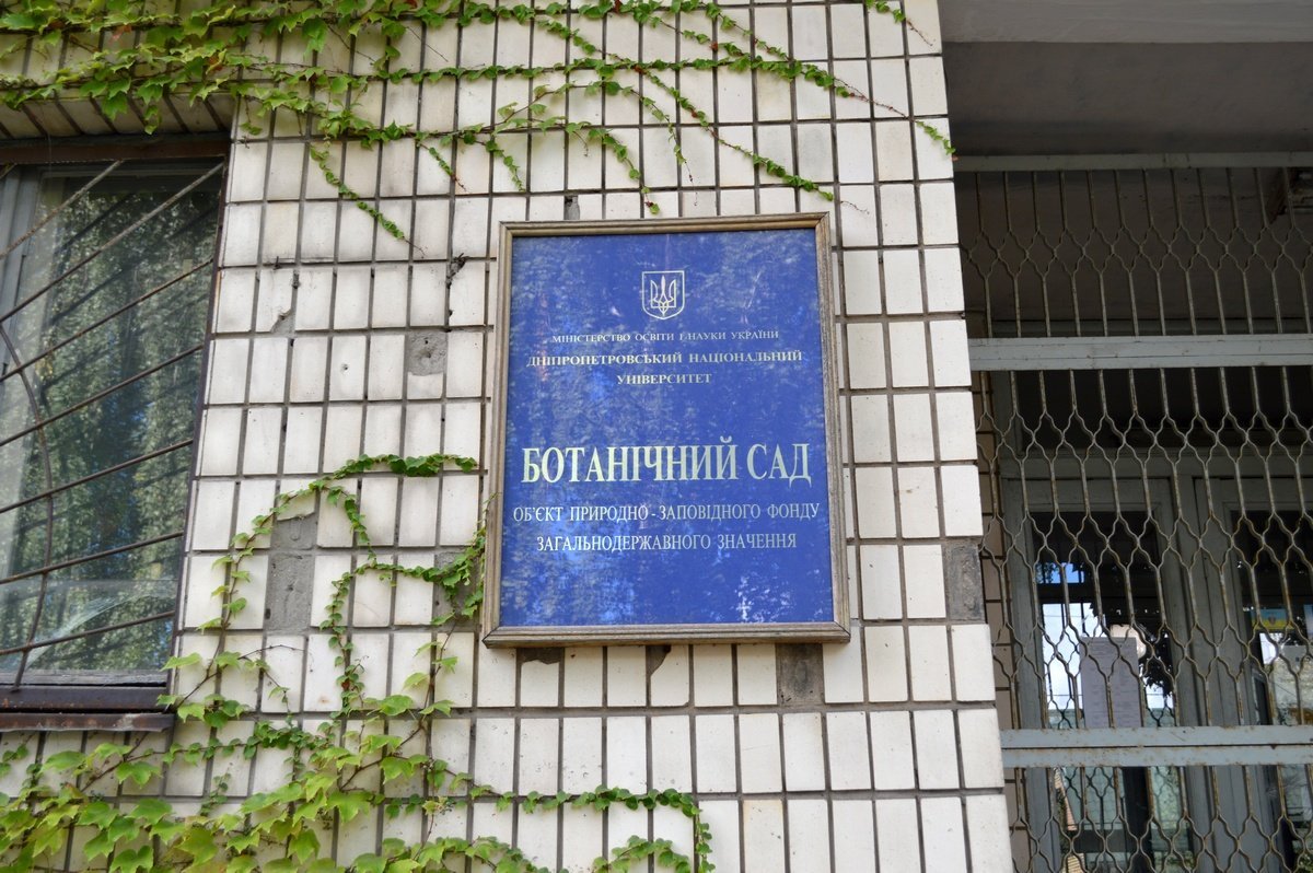Зайти в сад можно через 8й корпус ДНУ Зайти в сад можно через 8й корпус ДНУ