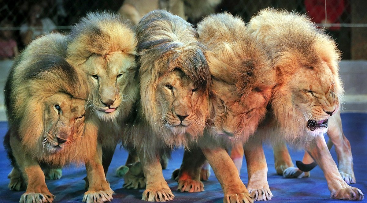 ТОП мероприятий, куда стоит пойти на выходных в Днепре 6