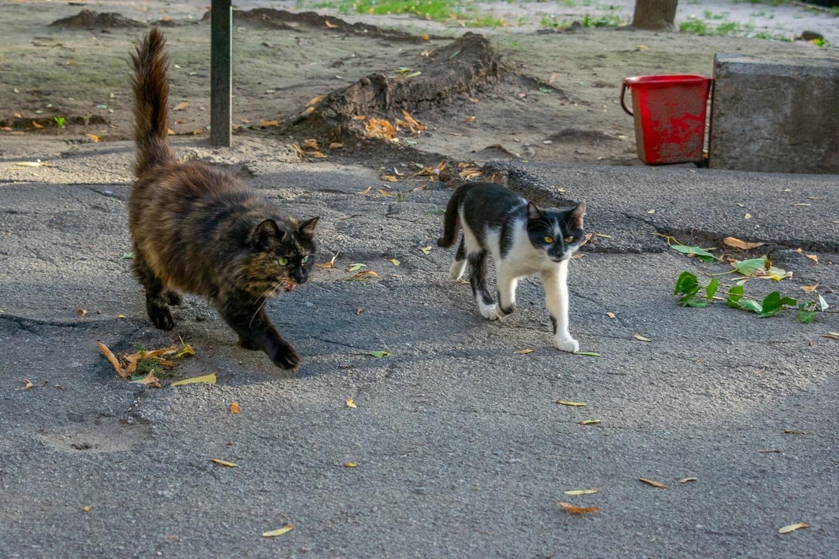 Вообще-то спрашивать надо перед тем, как сфоткать. Ни ума, ни совести
