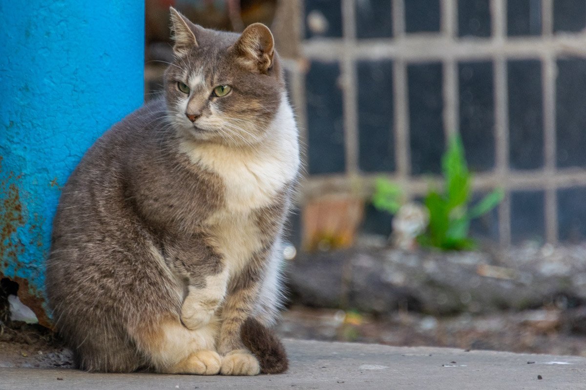 Иди сюда, сейчас буду выписывать лящей
