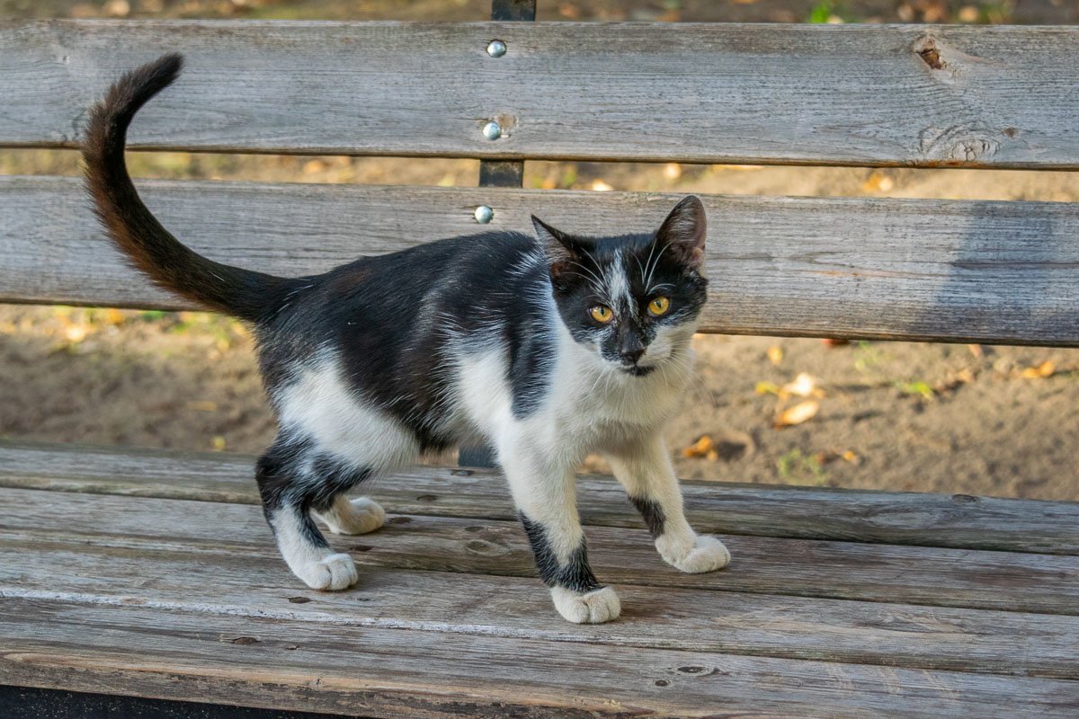 В редакции у себя посидишь, это моя лавка