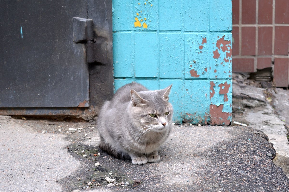 Когда только обрел форму овала, а тебя начинают фоткать