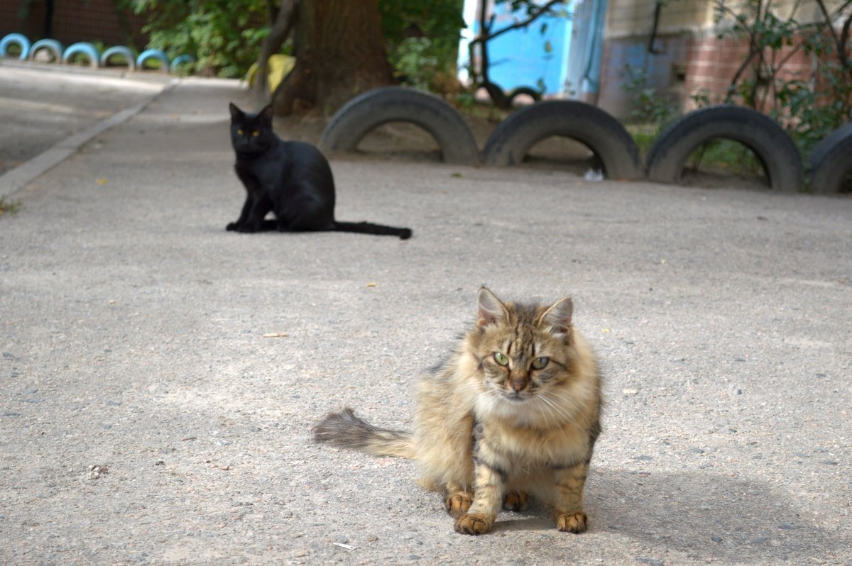 С Виктором Павловичем можно пообщаться после записи у секретаря