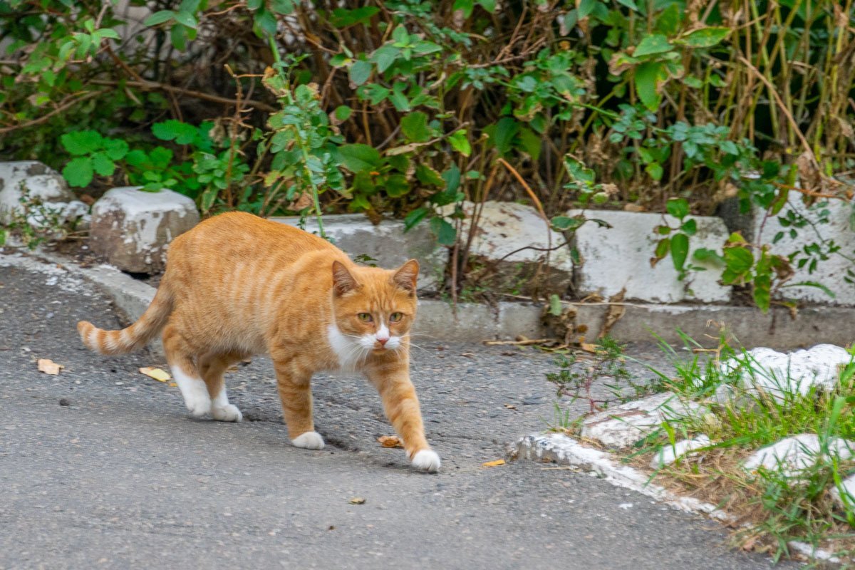 Я просто заберу этот камушек, ты продолжай, не обращай на меня внимание
