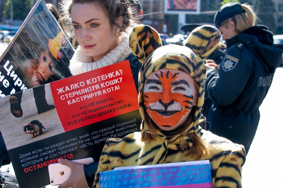 Никто не заслуживает жестокого обращения к себе Никто не заслуживает жестокого обращения к себе