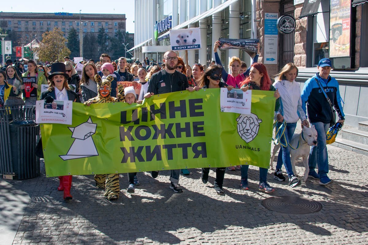 Сотни людей прошлись по центральным улицам города, "захватив" все внимание окружающих Сотни людей прошлись по центральным улицам города, "захватив" все внимание окружающих