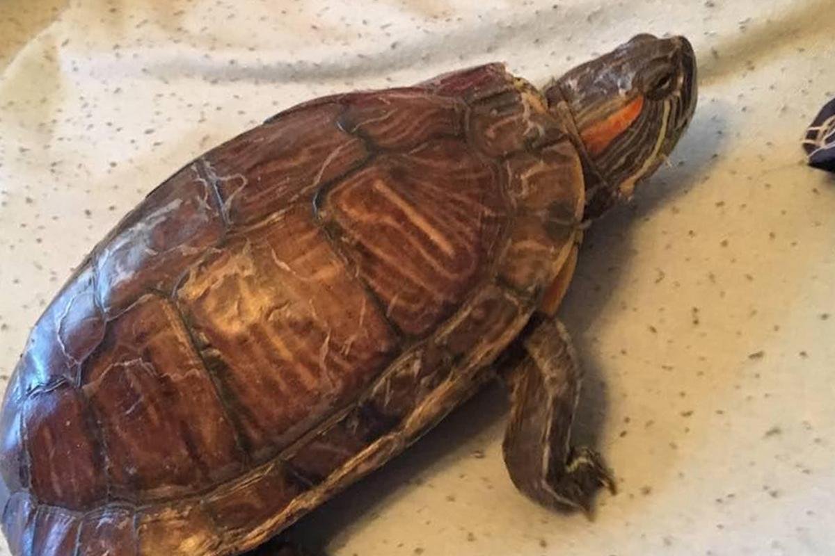 Лучший друг - тот, с которым есть о чем помолчать Лучший друг - тот, с которым есть о чем помолчать