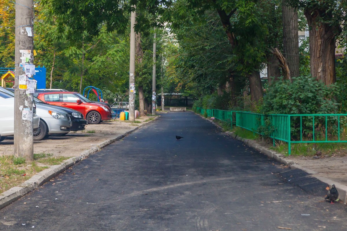 Голубям нравится