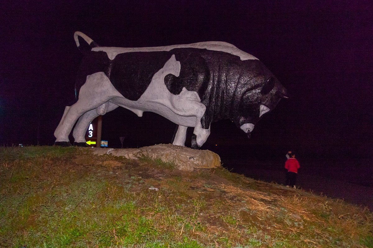 Женщину сбили на Криворожской трассе возле памятника Быку