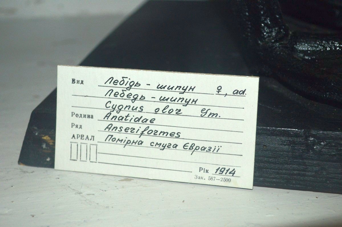 Возле каждого экспоната расположена информационная табличка