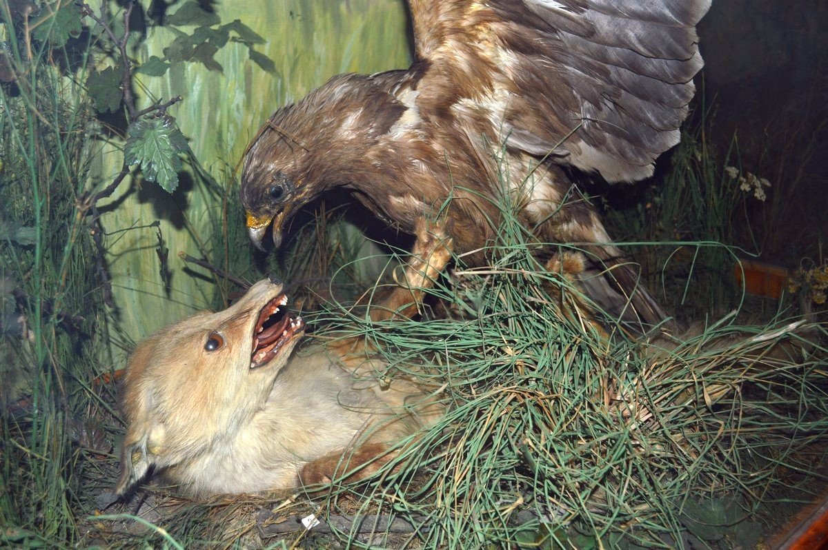 Это моя акционная пачка порошка, отстань