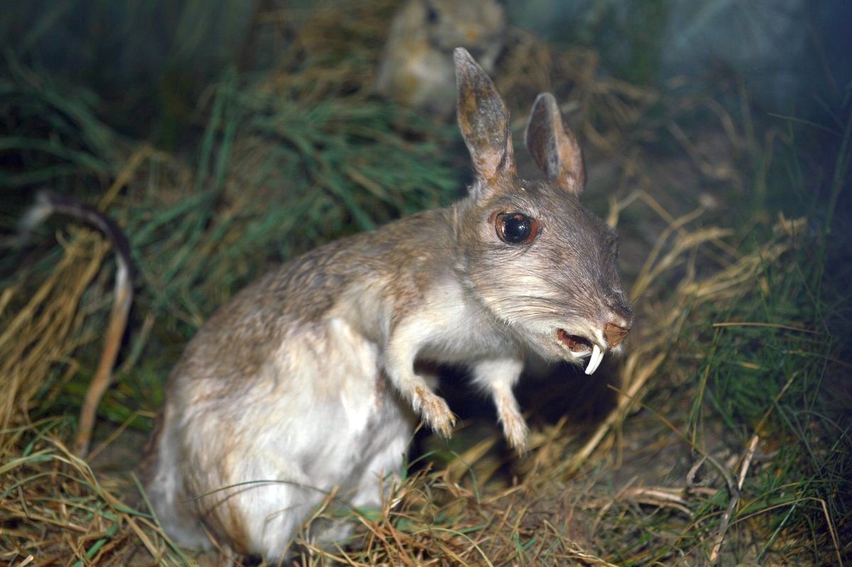 Я записал 3 реп-альбома, а чего добился ты