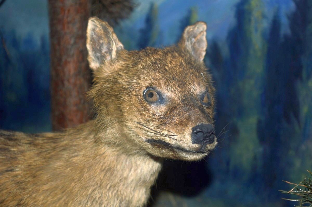 Закончи мои страдания