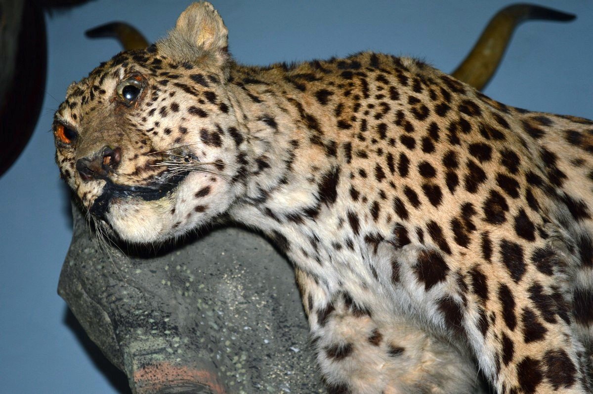 Всего несколько подтяжечек и мезотерапия