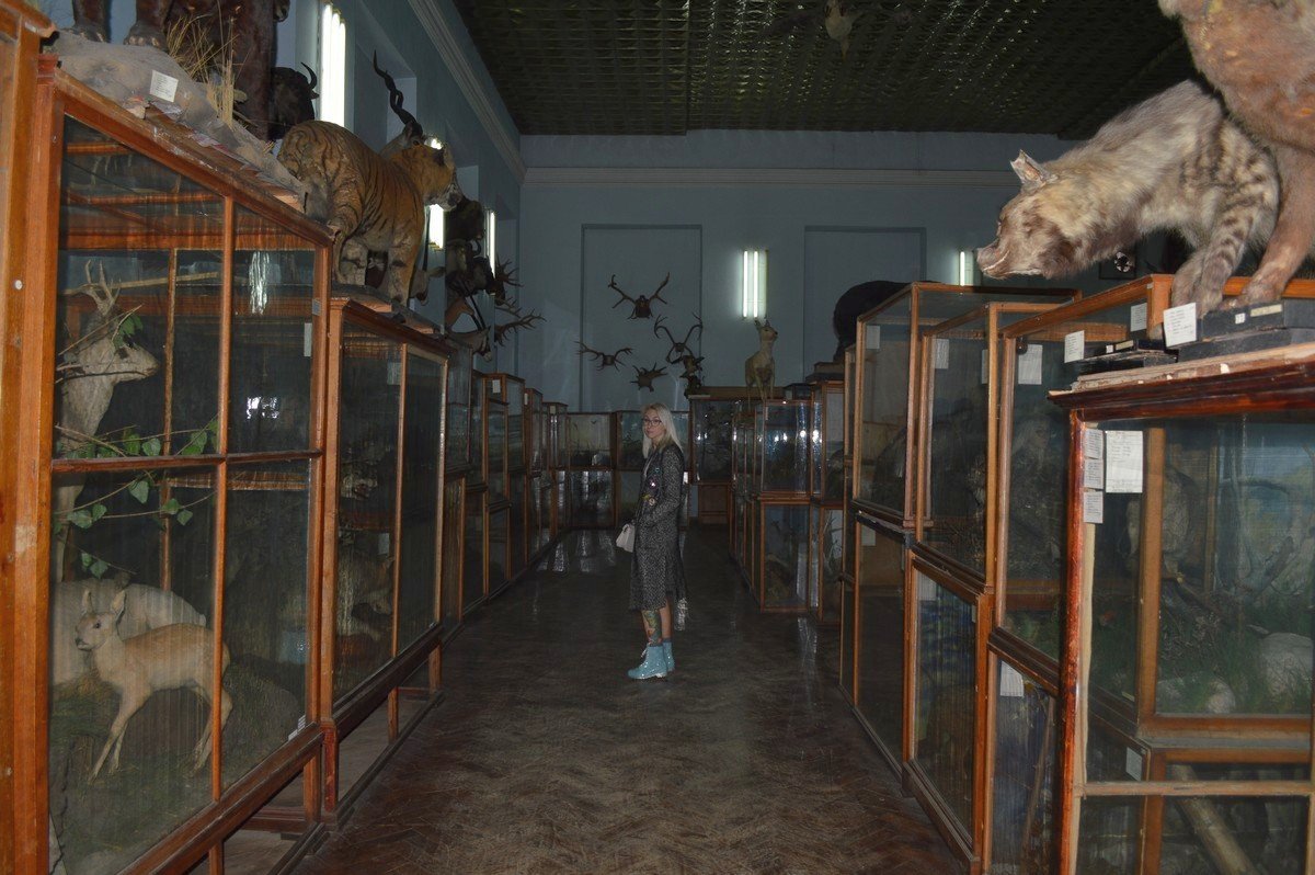 Освещение в музее как бы намекает, что на животных лучше не смотреть