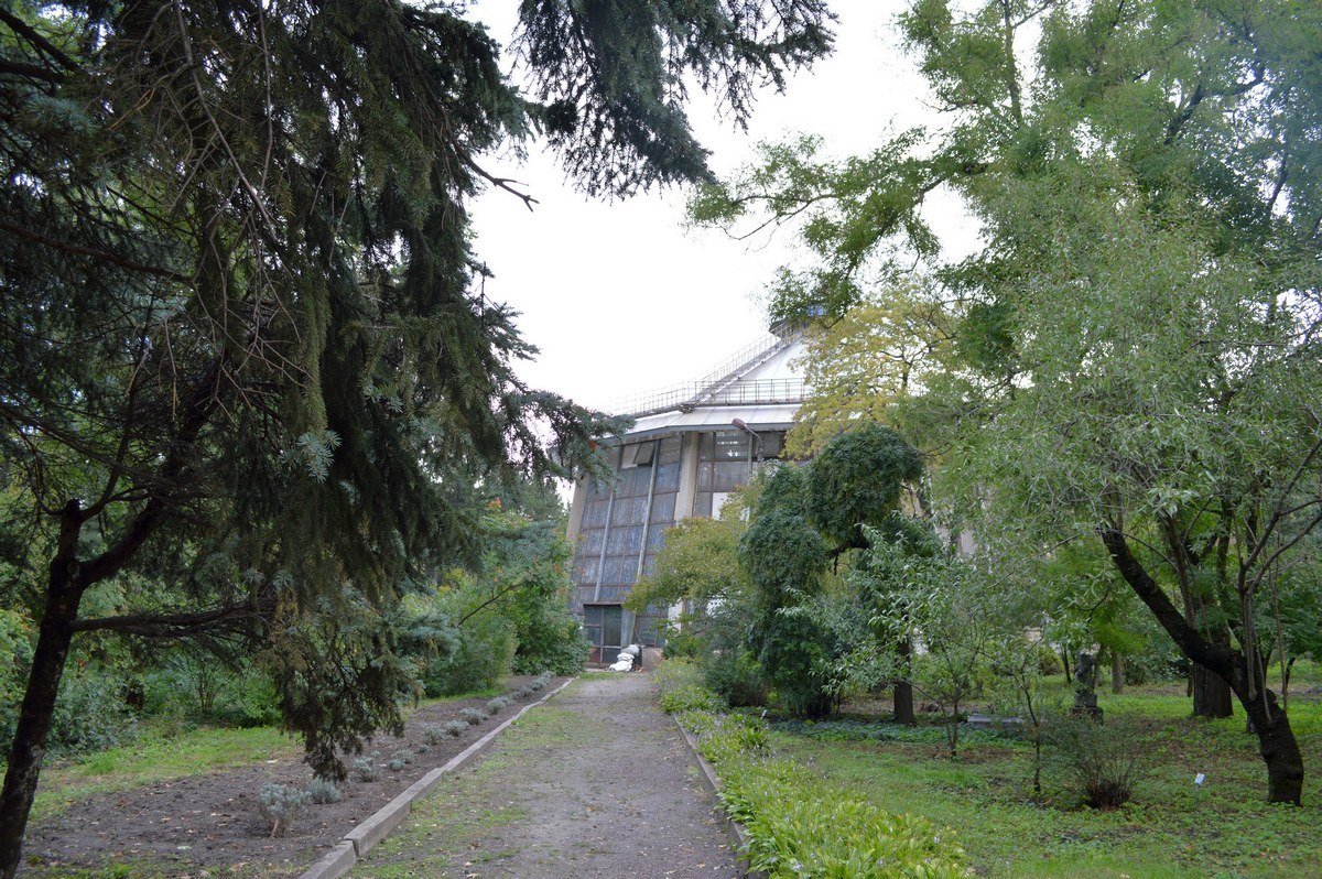 День осени День осени