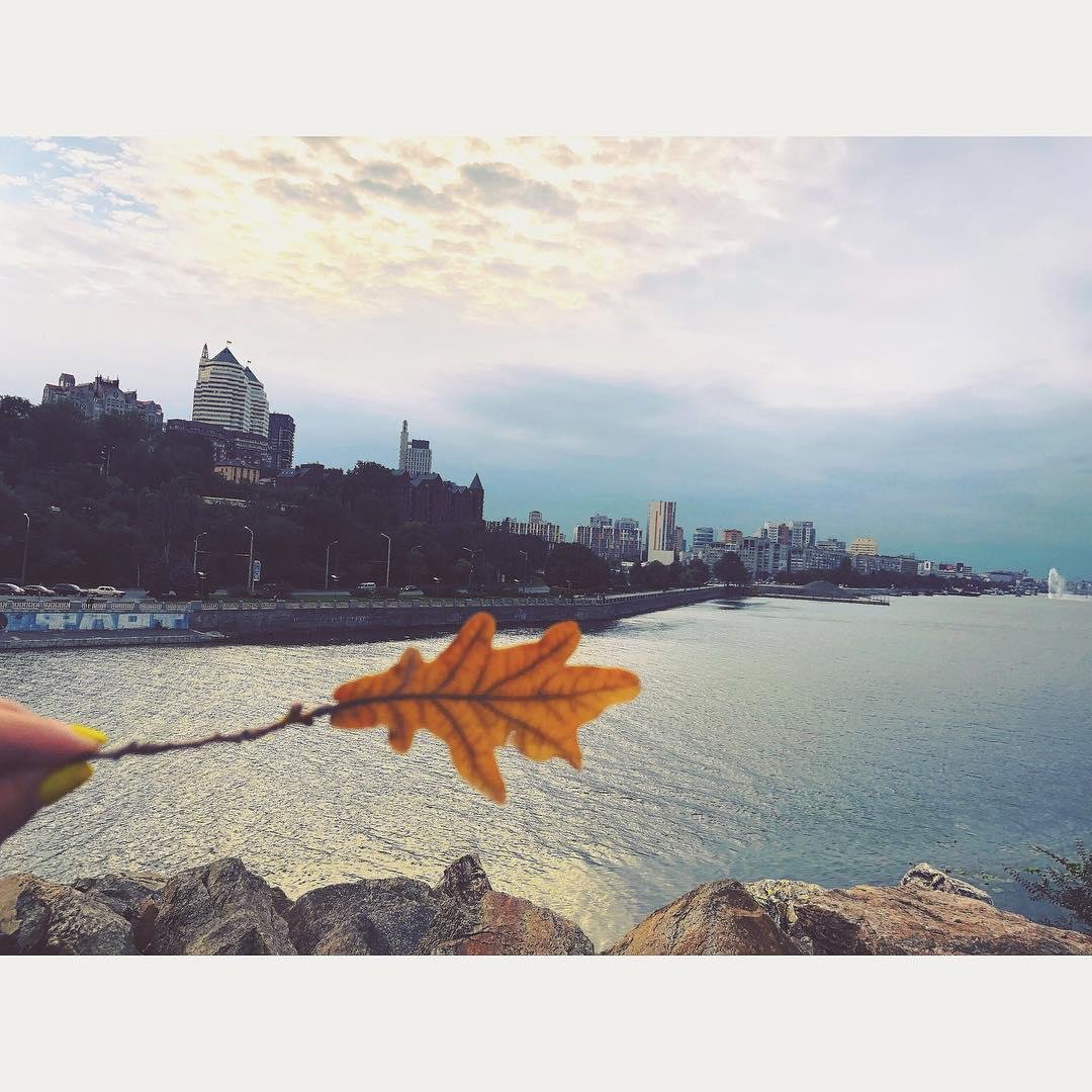 Осень уже проникла в каждый лист. Фото: viktoriyayarosh Осень уже проникла в каждый лист. Фото: viktoriyayarosh