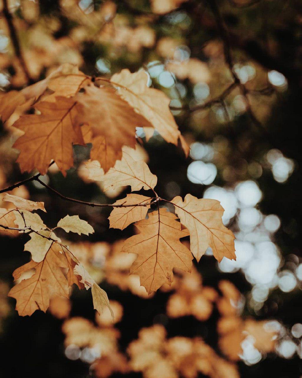 Выходите из комнаты. Фото: lerrration Выходите из комнаты. Фото: lerrration