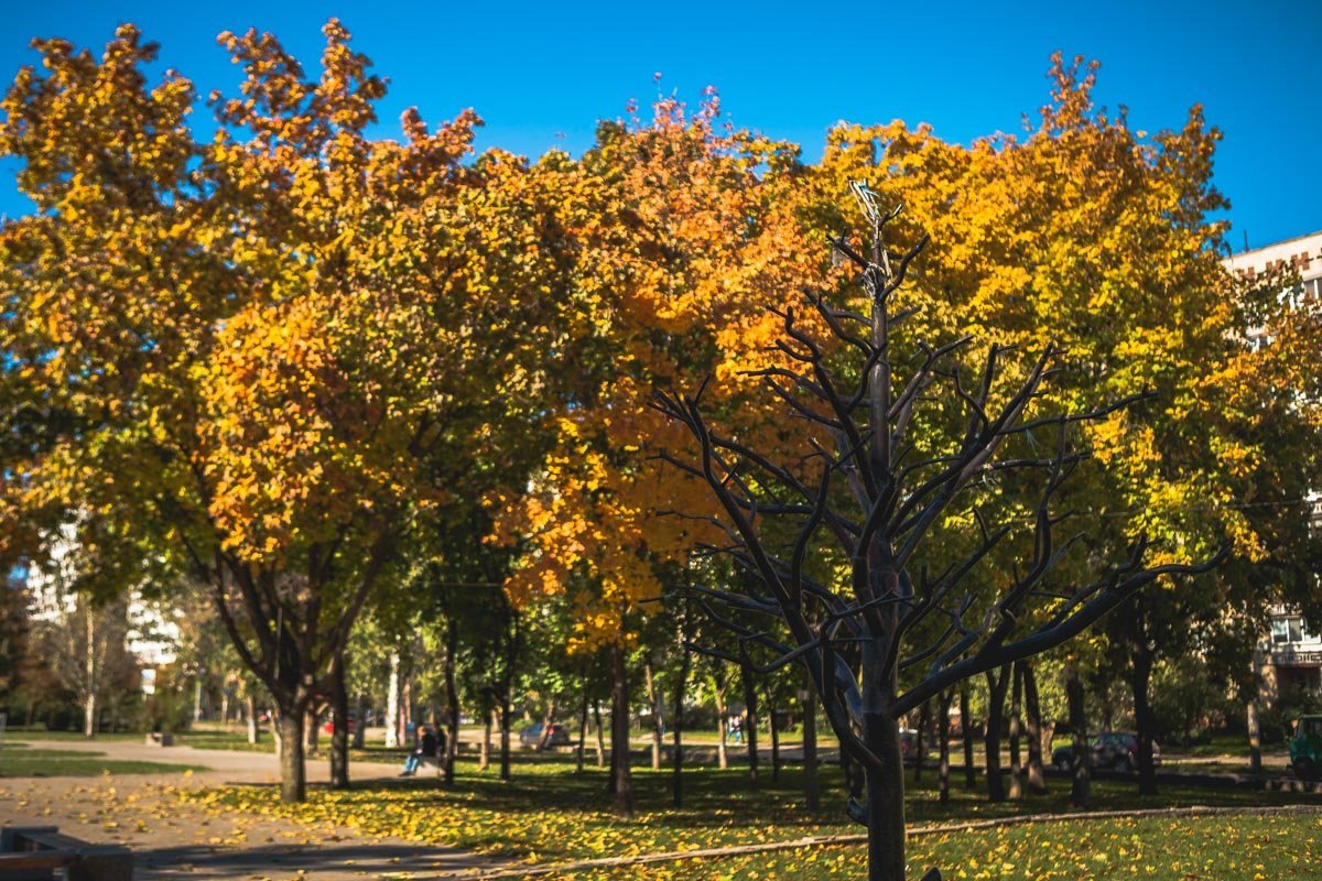 Осень раскрашивает Днепр пестрыми красками Осень раскрашивает Днепр пестрыми красками