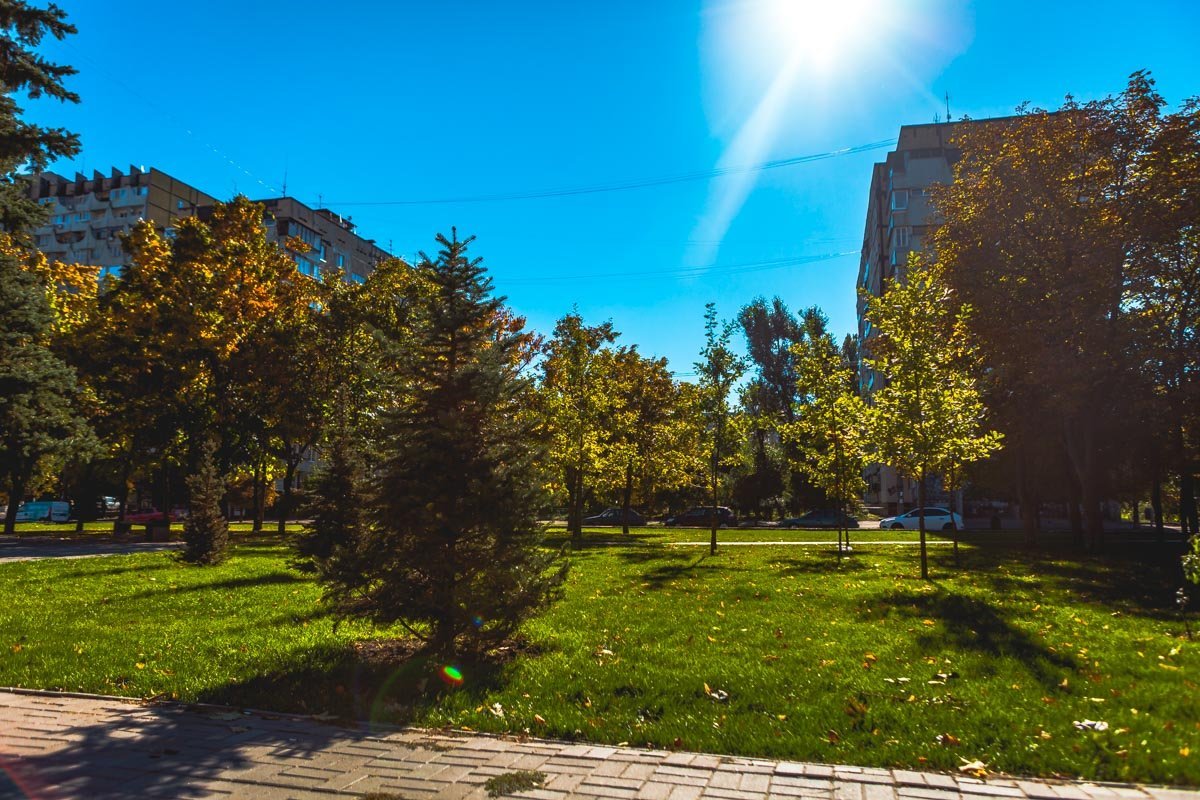 Ленивое воскресное утро выдалось невероятно красивым Ленивое воскресное утро выдалось невероятно красивым