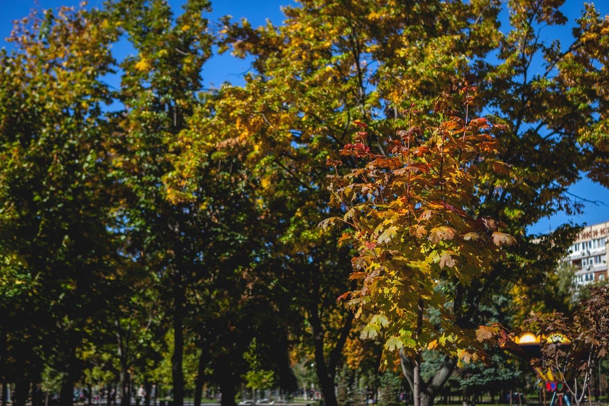 Лето постепенно угасает Лето постепенно угасает