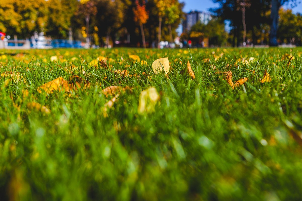 Поглубже вдыхайте осень и наполняйтесь улыбками Поглубже вдыхайте осень и наполняйтесь улыбками