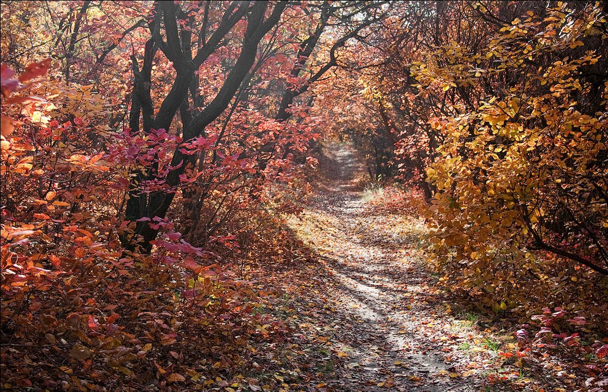 Тоннельная балка