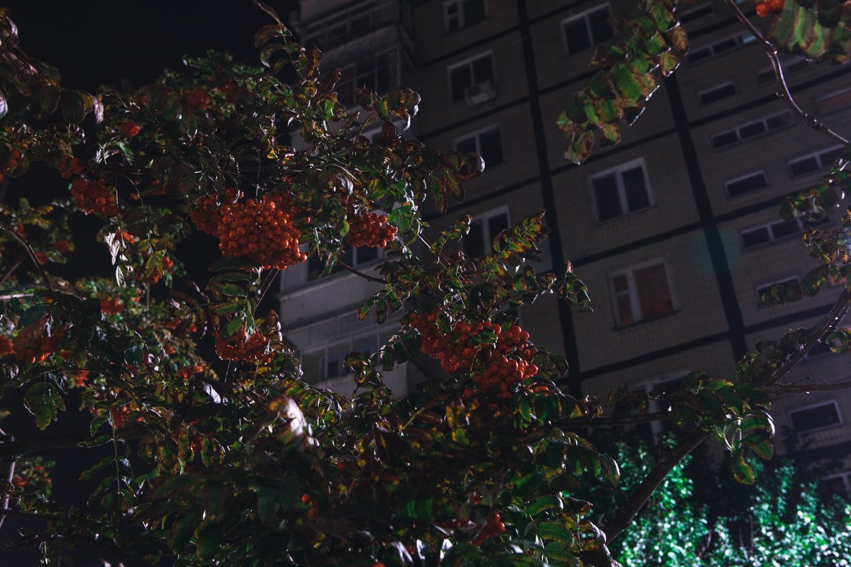 Парус построили на прибрежной территории Диевки Парус построили на прибрежной территории Диевки