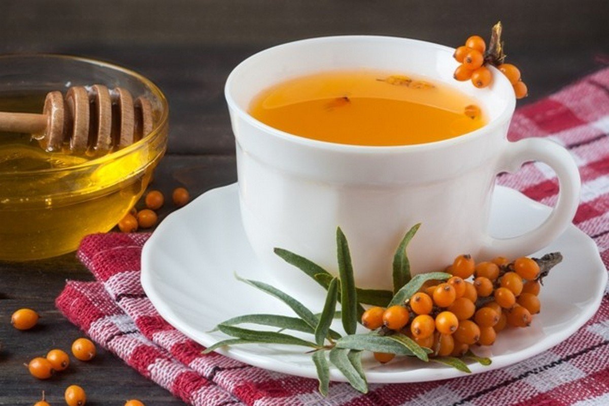 Полезные и вкусные рецепты: как приготовить чай из облепихи и имбиря