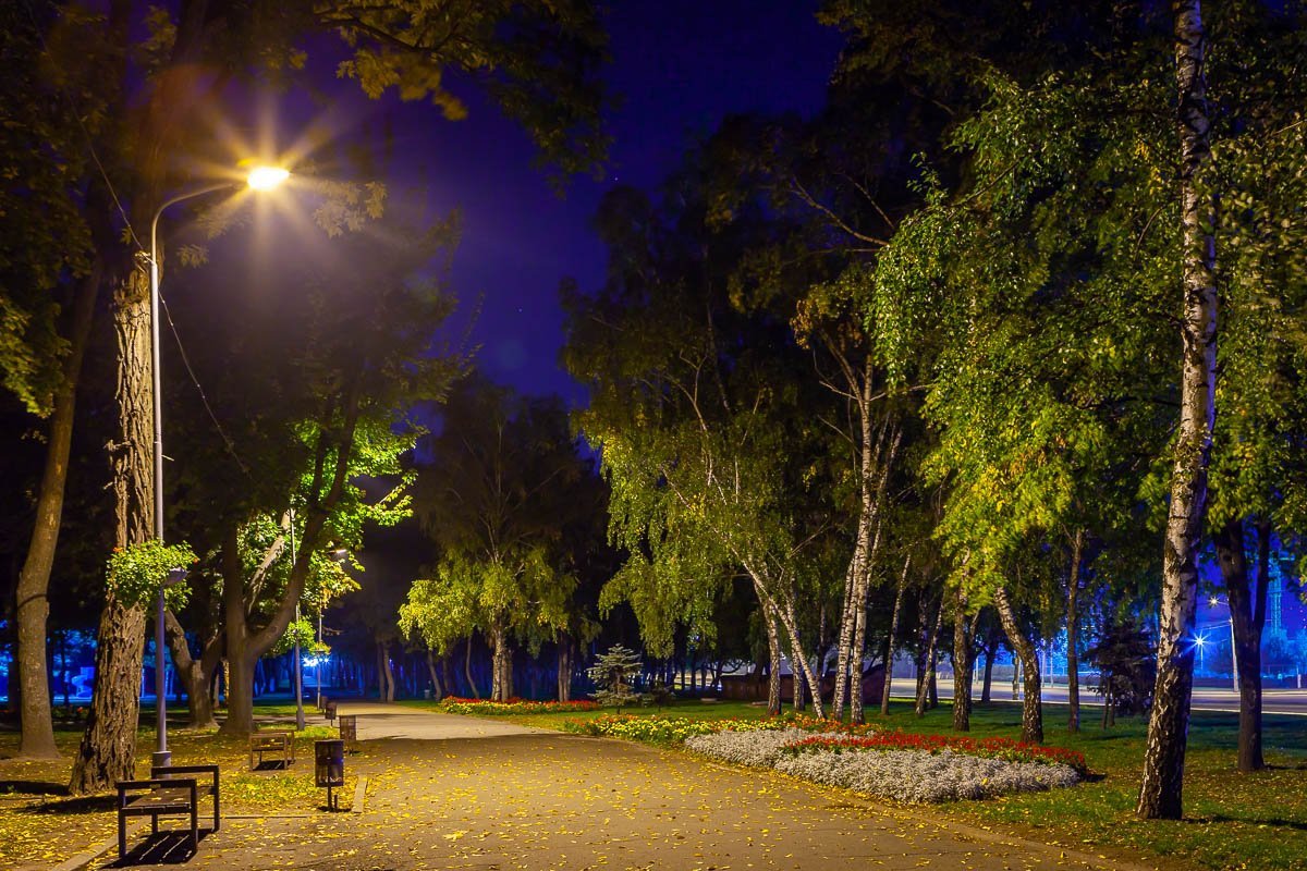 Наступила осень 