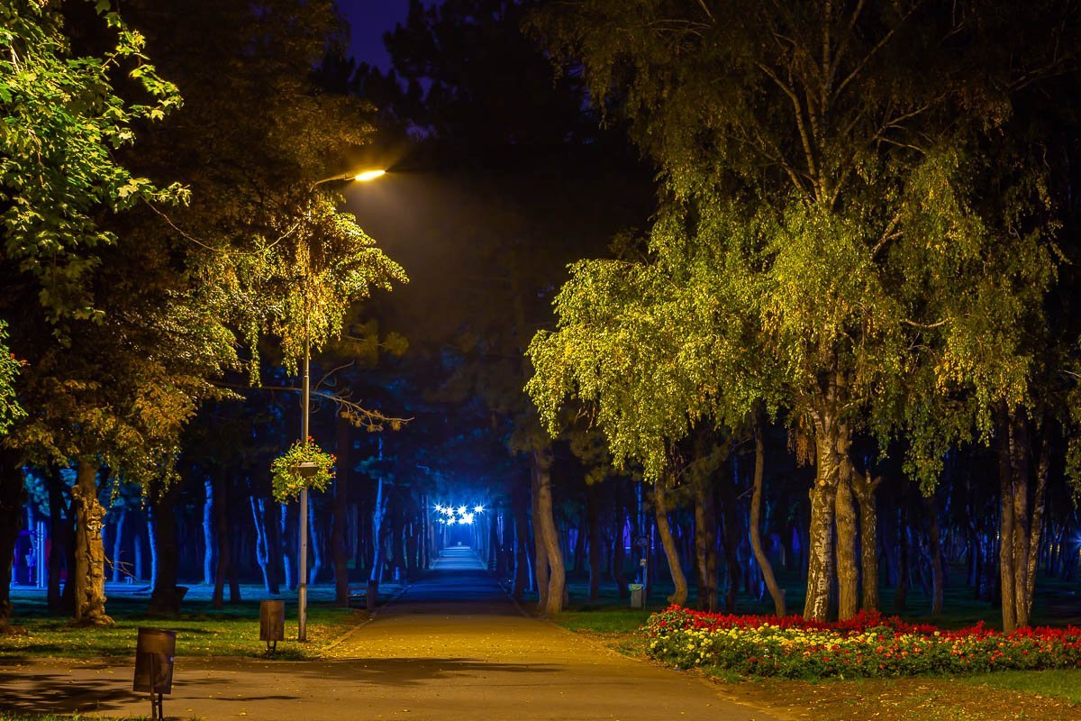 Безлюдные аллеи ночью 