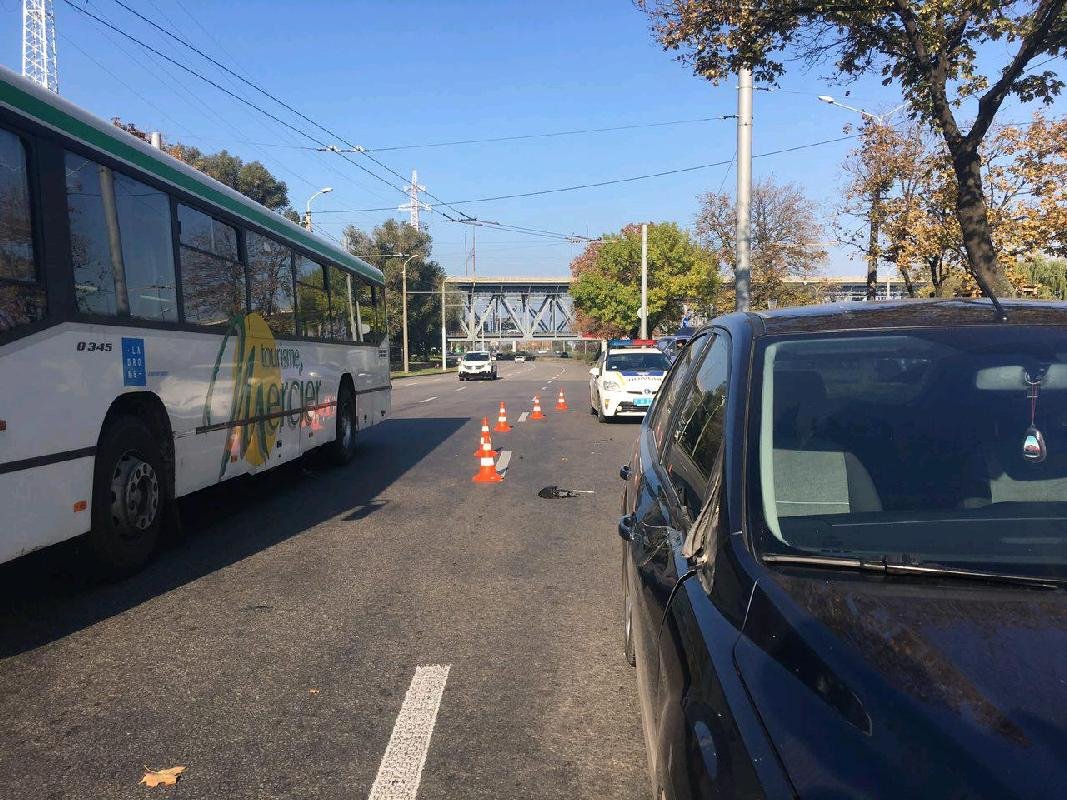 Перебегал дорогу в неположенном месте