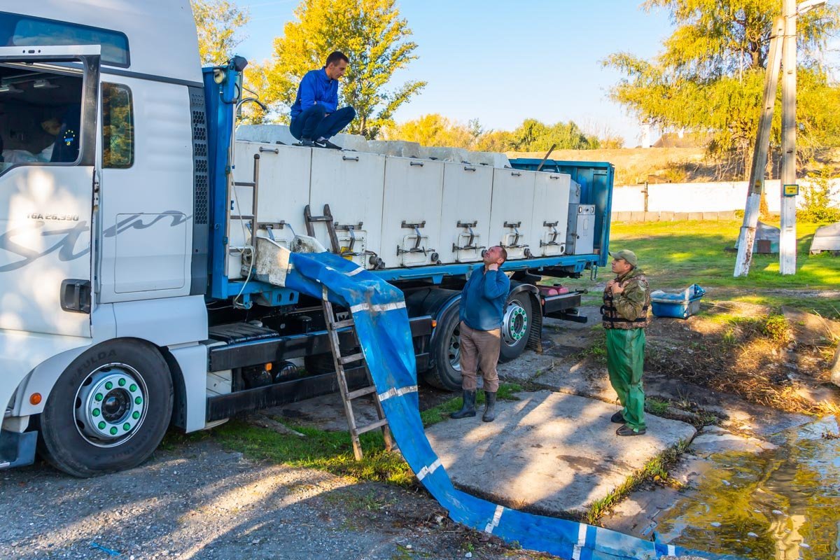 В Днепр рыбки приехали из Херсона В Днепр рыбки приехали из Херсона