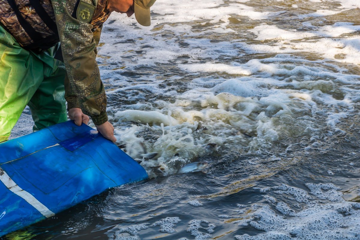 В этом году «в список на заселение» попали практически 1,7 миллиона малышей В этом году «в список на заселение» попали практически 1,7 миллиона малышей