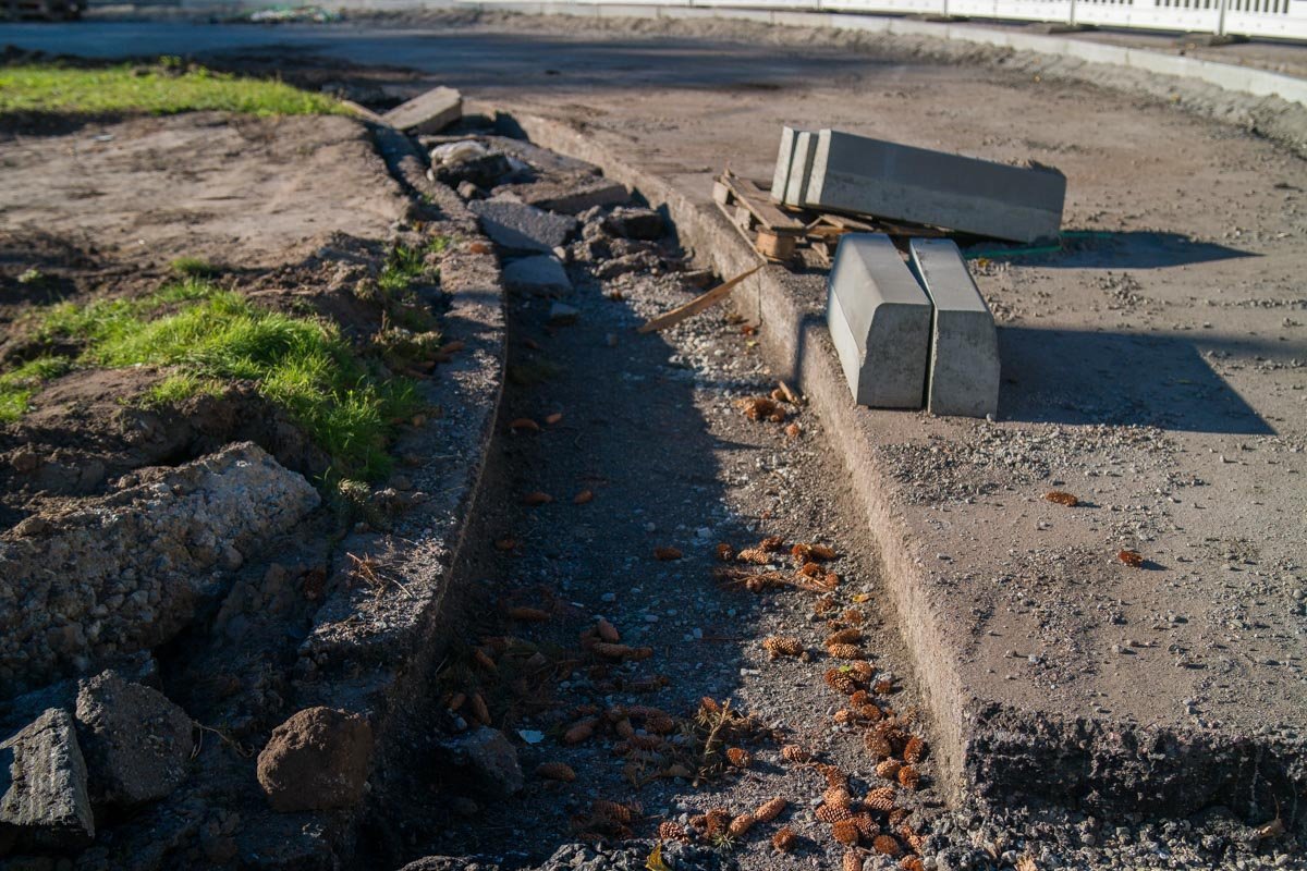 Все, что осталось в память о елочках Все, что осталось в память о елочках