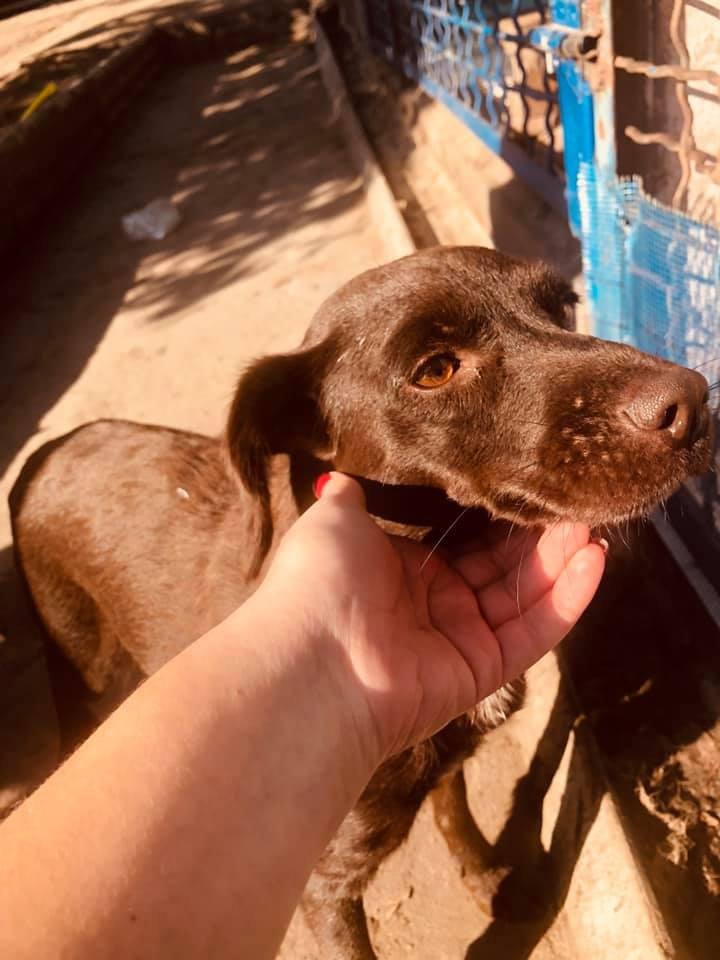 Верная Зита Верная Зита