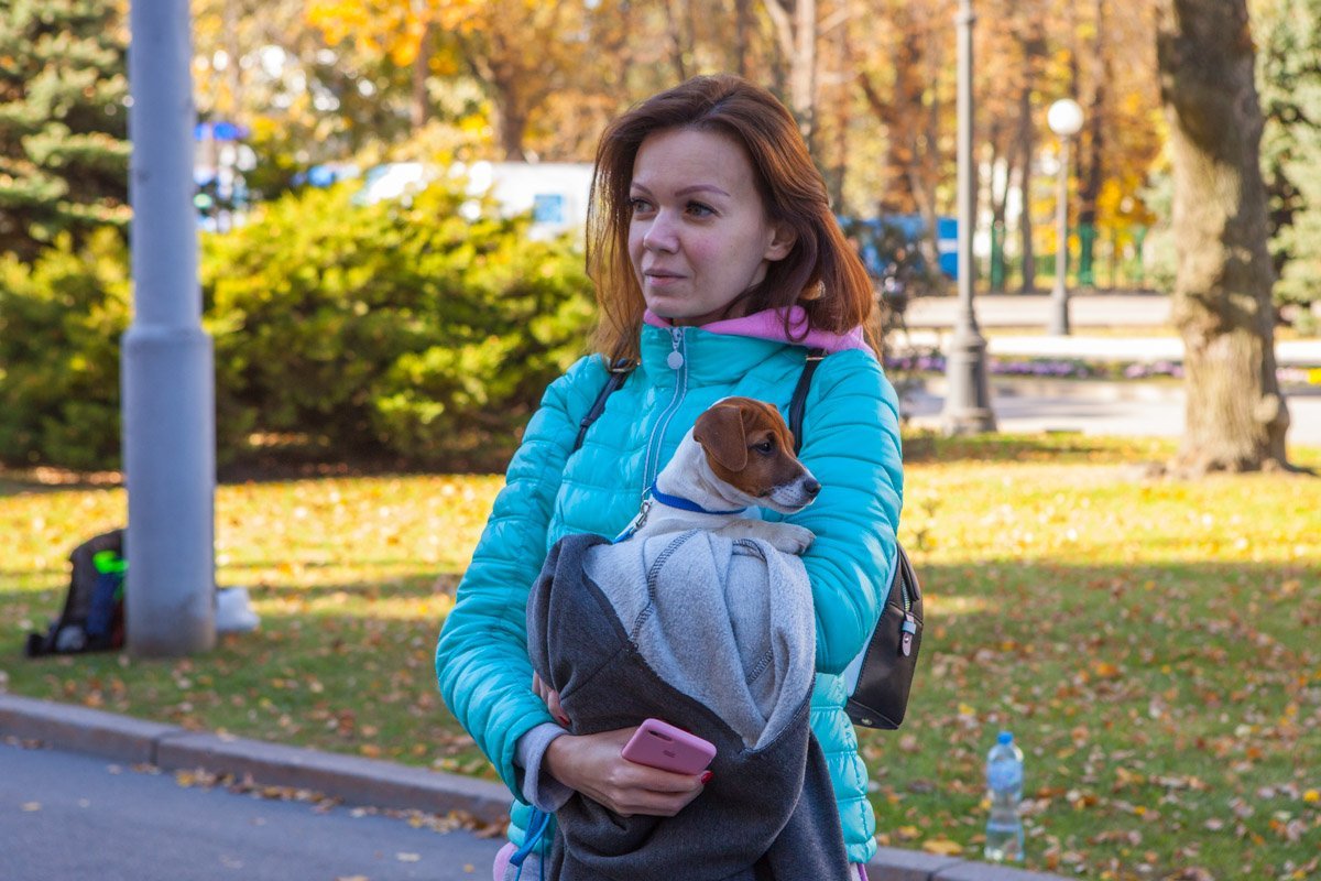 Тепло выглядит именно так Тепло выглядит именно так