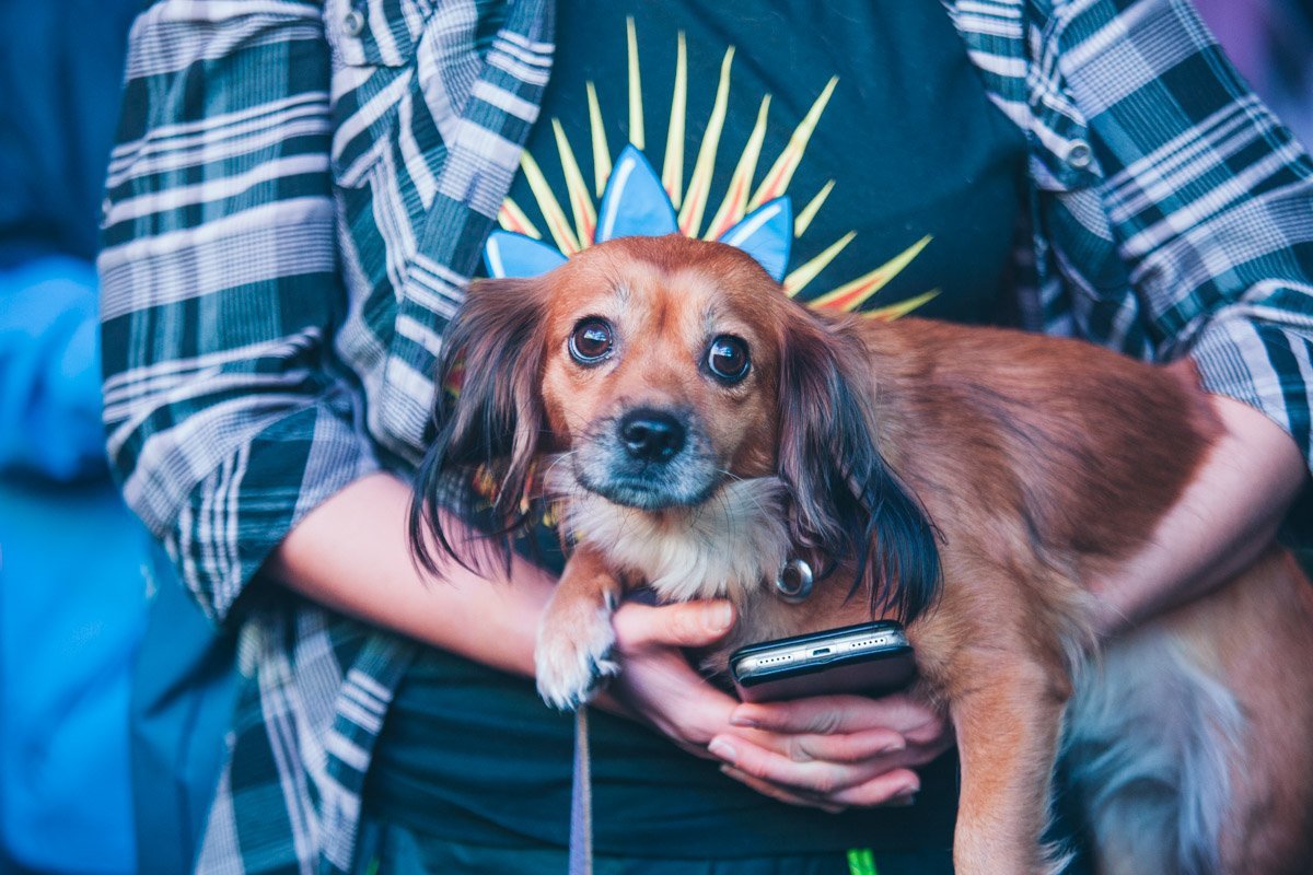 Им тоже нужна защита