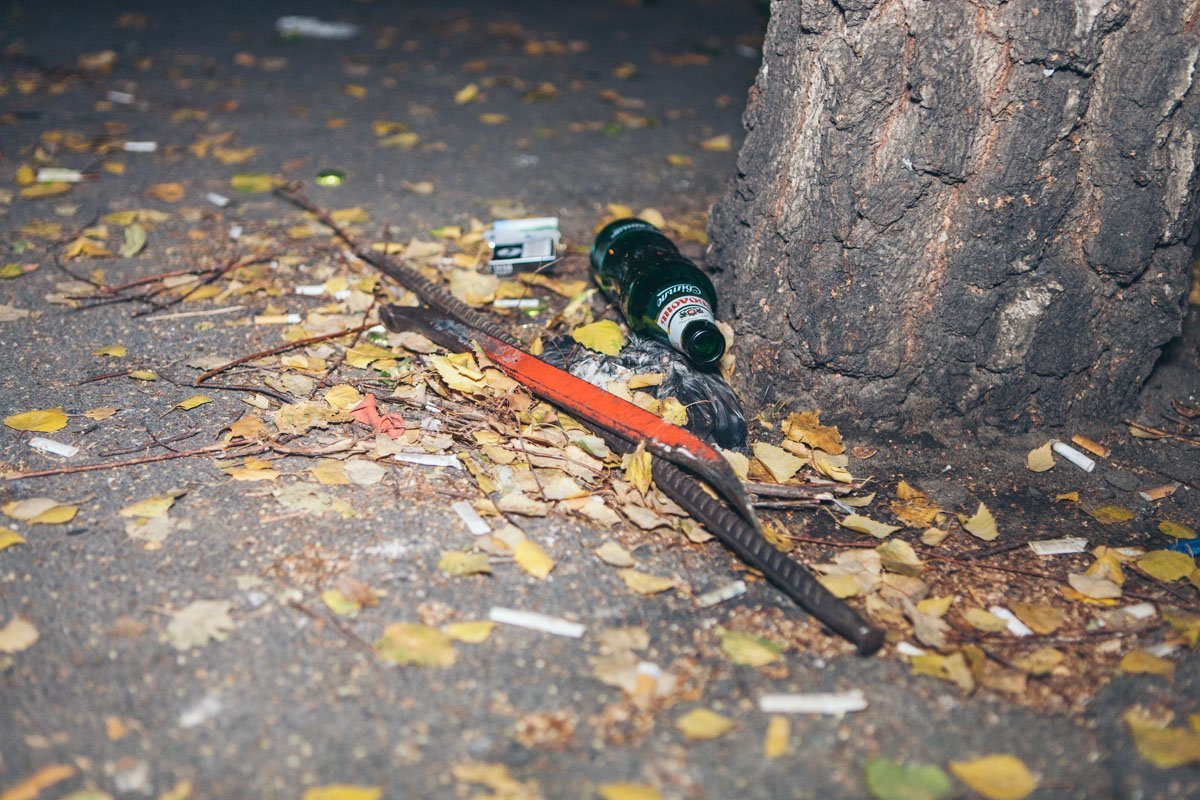 Инструменты решили спрятать под березкой