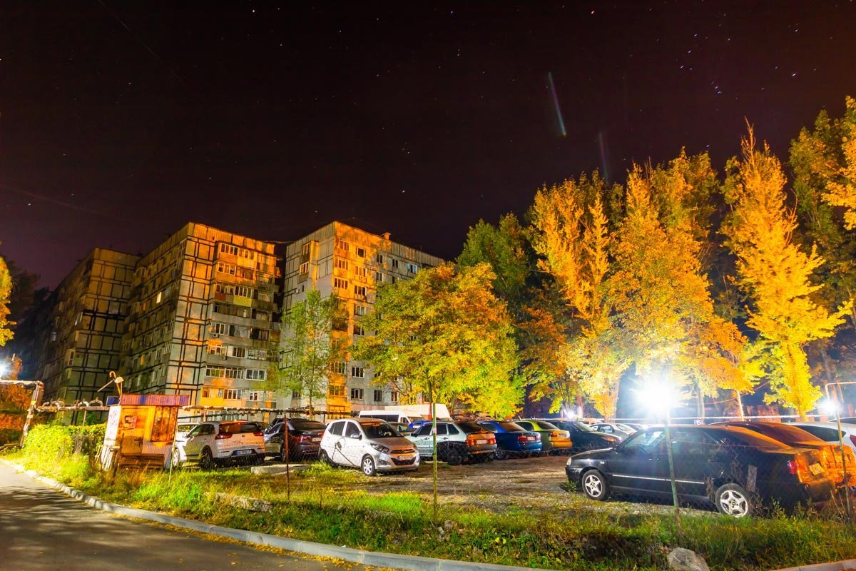 Фото: Дмитрий Федоров Фото: Дмитрий Федоров