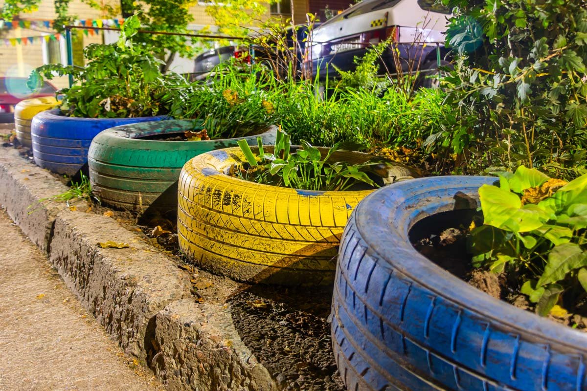 Зеленый "сад" у кого-то под балконами Зеленый "сад" у кого-то под балконами