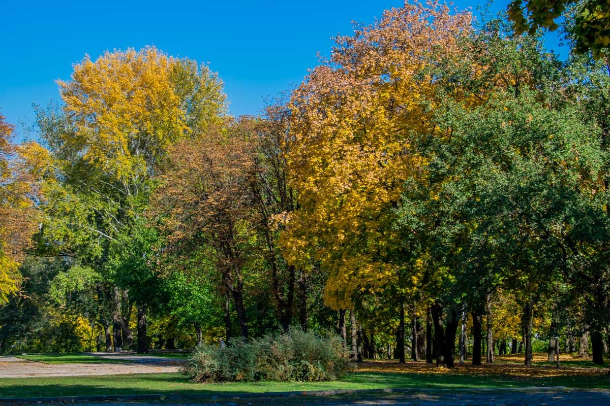 Днепр разукрашен в оттенки осени Днепр разукрашен в оттенки осени